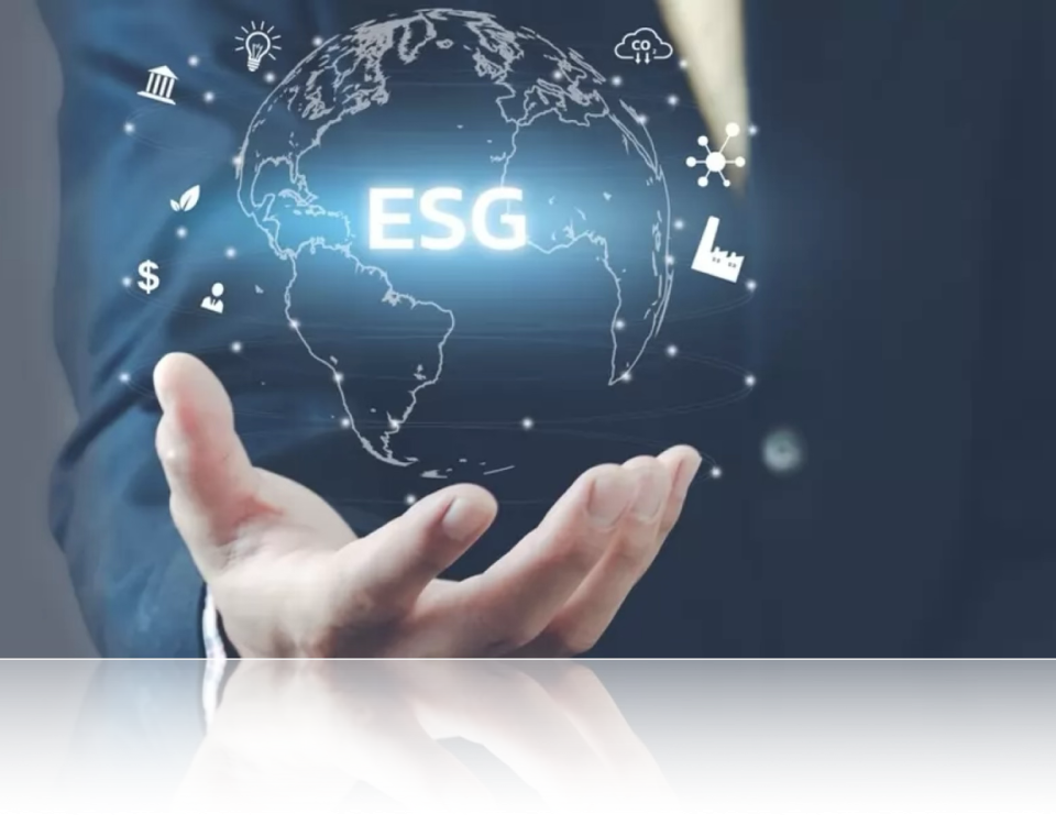 Advanced ESG & Board Committee Masterclass