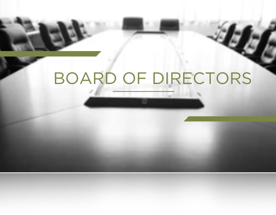 advanced-ai-and-board-performance-management-masterclass-2025