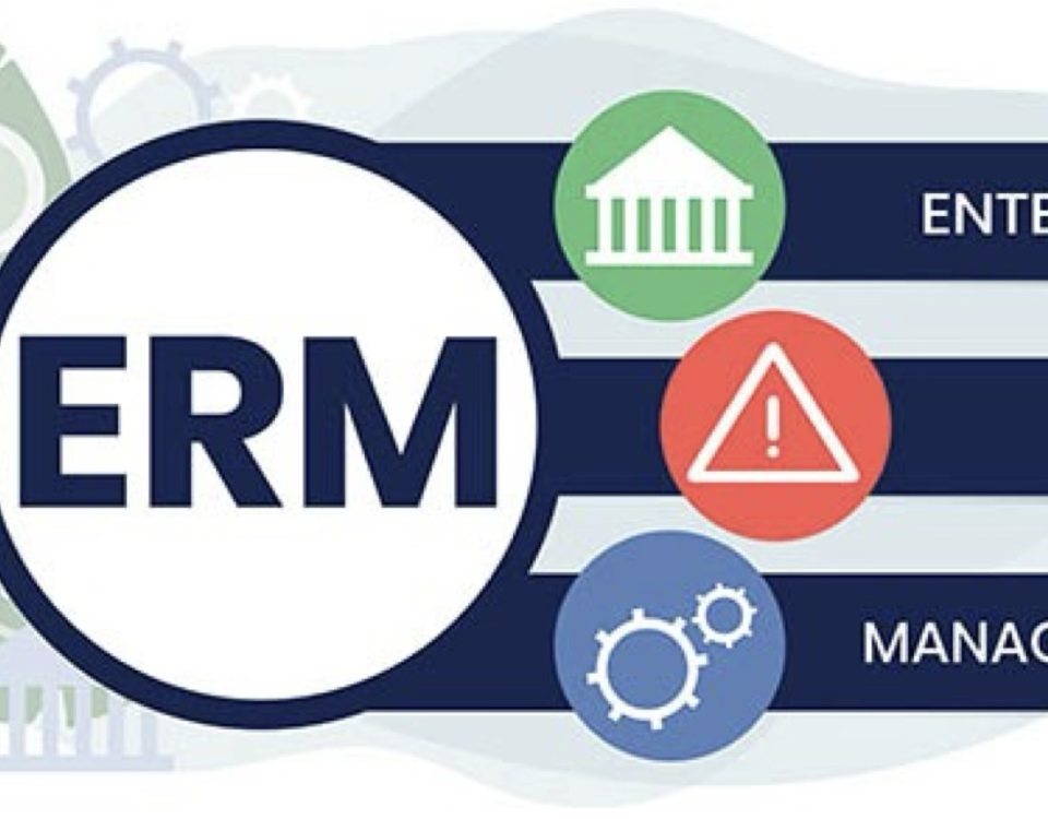 Advanced Enterprise Risk Management Masterclass 2025