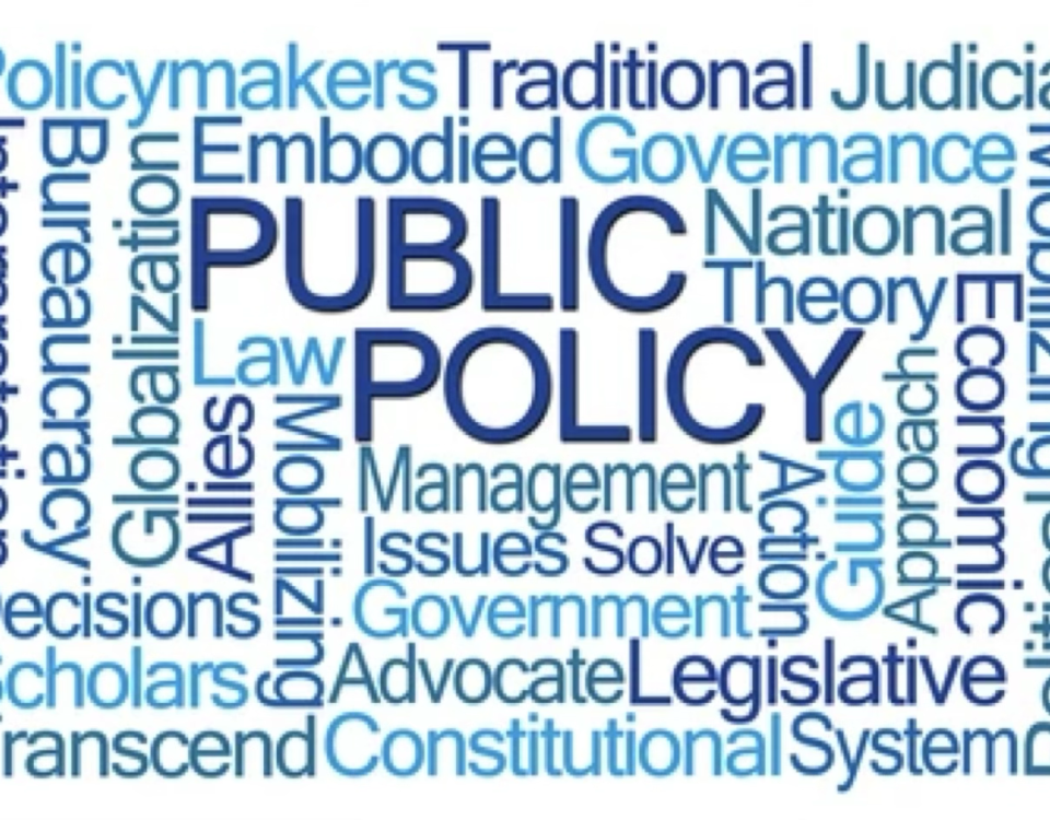 Advanced Public Policy Masterclass 2025